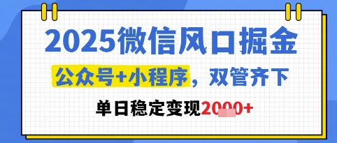 2025微信风口掘金，公众号+小程序双管齐下，单日稳定变现1k+【揭秘】-鼎铸网
