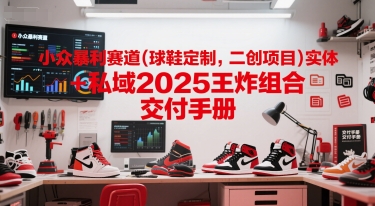 小众暴利赛道(球鞋定制，二创项目)实体+私域2025王炸组合  交付手册-鼎铸网