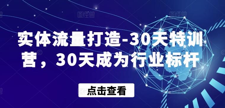 实体流量打造-30天特训营，30天成为行业标杆-鼎铸网