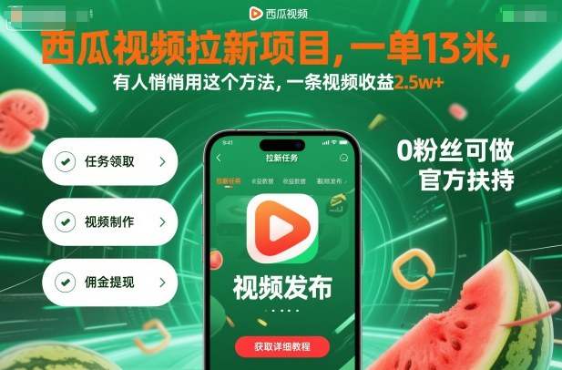 西瓜视频拉新项目，一单13米，有人悄悄用这个方法，一条视频收益2.5w+(附详细教程)-鼎铸网