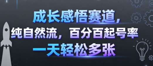 成长感悟赛道，纯自然流，百分百起号率 一天轻松多张-鼎铸网