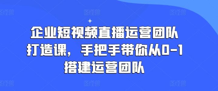 企业短视频直播运营团队打造课，手把手带你从0-1搭建运营团队-鼎铸网