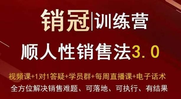 爆款！销冠训练营3.0之顺人性销售法，全方位解决销售难题、可落地、可执行、有结果-鼎铸网