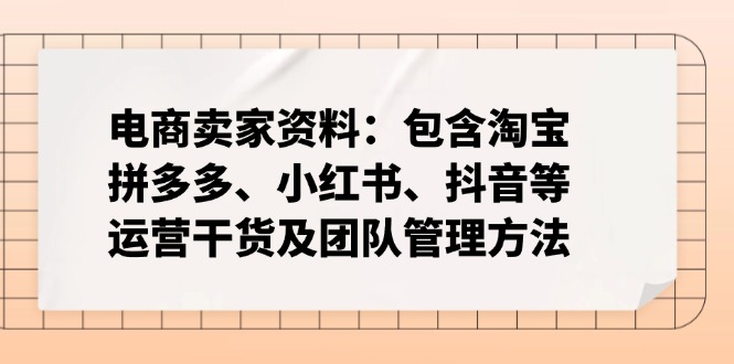 电商卖家资料：包含淘宝、拼多多、小红书、抖音等运营干货及团队管理方法-鼎铸网