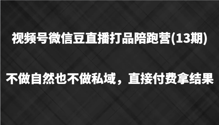 视频号微信豆直播打品陪跑(13期)，不做不自然流不做私域，直接付费拿结果-鼎铸网