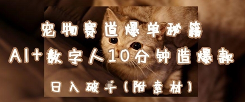 宠物赛道爆单秘籍：AI+数字人10分钟造爆款，日入1k-鼎铸网