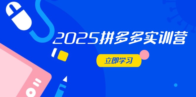 2025拼多多实训营：深度剖析运营关键，助力电商人快速提升-鼎铸网