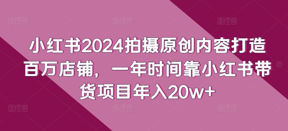 小红书2024拍摄原创内容打造百万店铺，一年时间靠小红书带货项目年入20w+-鼎铸网