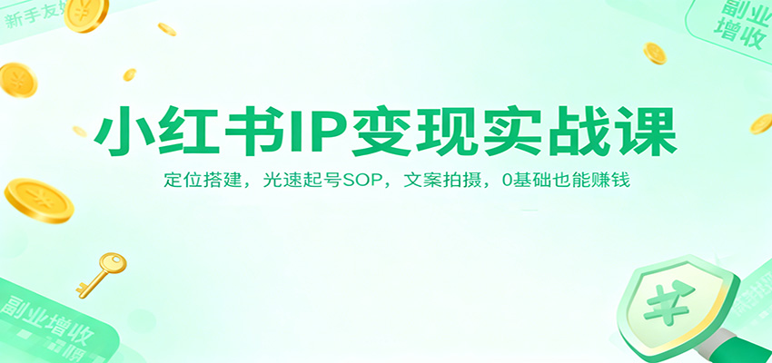 小红书IP变现实战课：定位搭建，光速起号SOP，文案拍摄，0基础也能赚钱-鼎铸网