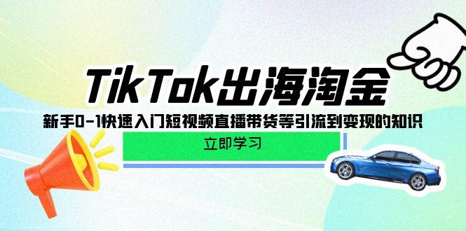 (10035期)TikTok-出海淘金，新手0-1快速入门短视频直播带货等引流到变现的知识-鼎铸网