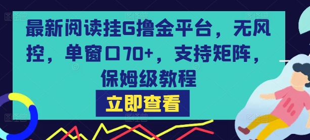 最新阅读挂G撸金平台，无风控，单窗口70+，支持矩阵，保姆级教程【揭秘】-鼎铸网