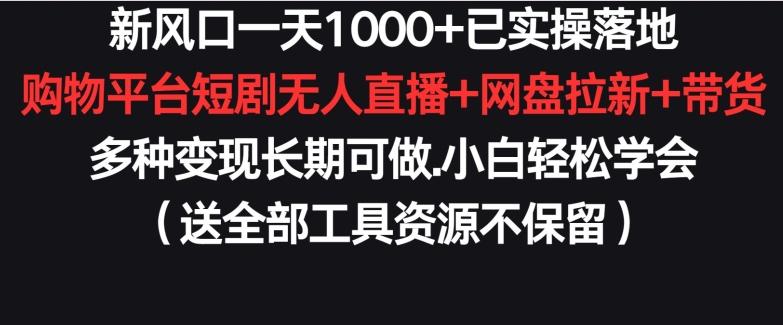 新风口一天1000+已实操落地购物平台短剧无人直播+网盘拉新+带货多种变现长期可做【揭秘】-鼎铸网