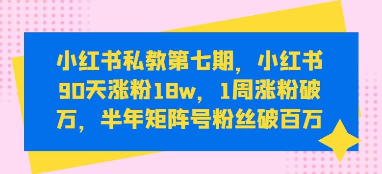 小红书私教第七期，小红书90天涨粉18w，1周涨粉破万，半年矩阵号粉丝破百万-鼎铸网