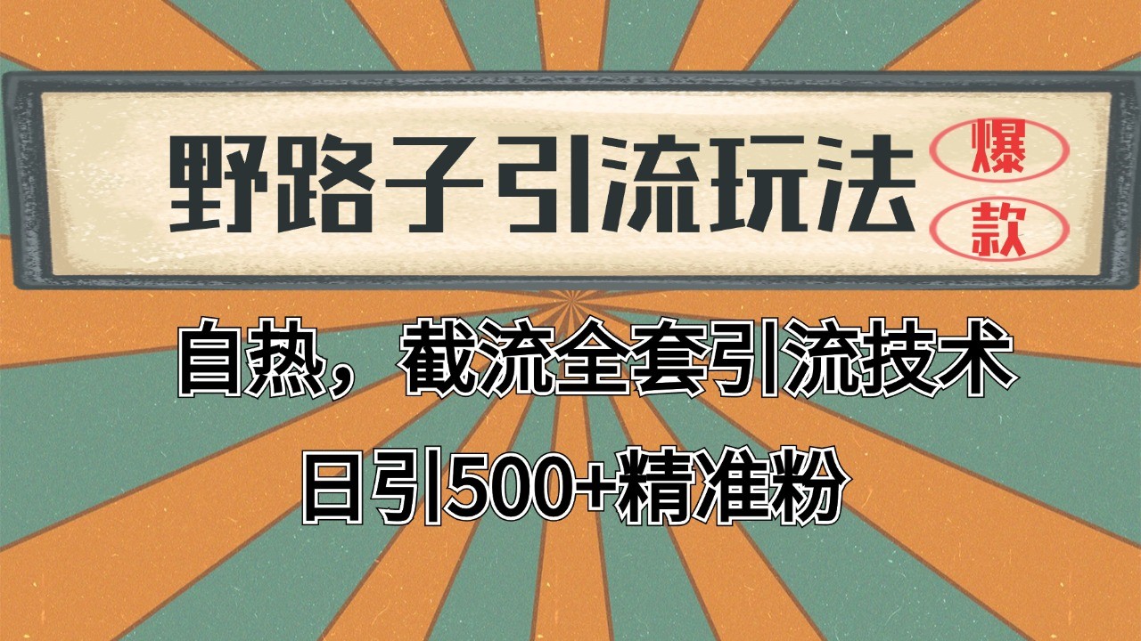 2024首发野路子引流玩法截流自热全平台打法，全自动引流【日引2000+精准客户】-鼎铸网