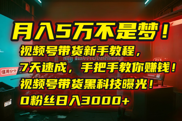 月入5万不是梦！视频号带货新手教程，7天速成，手把手教你赚钱！视频号...-鼎铸网