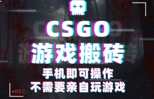 CSGO游戏挂G捡漏，单日扫货5张+，年底小高峰上车可吃肉，手机即可操作，兼职副业创业网创【揭秘】-鼎铸网