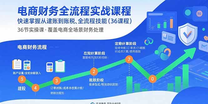 电商财务全流程实战课程：快速掌握从建账到报税的全流程技能(36节课-鼎铸网