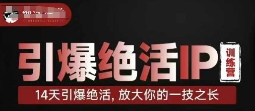 引爆绝活IP训练营，14天引爆绝活，放大你的一技之长-鼎铸网