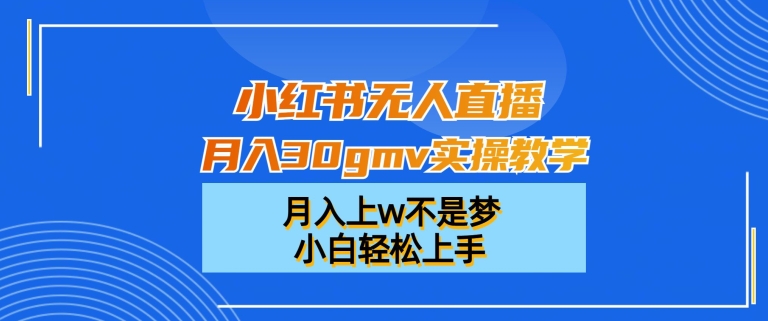 小红书无人直播月入30gmv实操教学，月入上w不是梦，小白轻松上手【揭秘】-鼎铸网