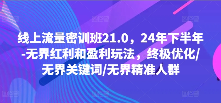 线上流量密训班21.0，24年下半年-无界红利和盈利玩法，终极优化/无界关键词/无界精准人群-鼎铸网