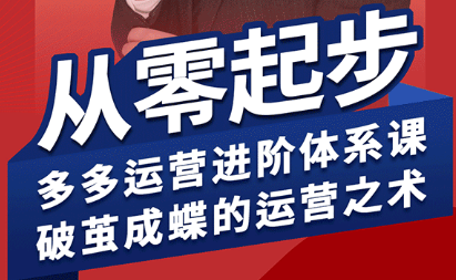 海神·拼多多运营进阶系统课(更新2026)-鼎铸网