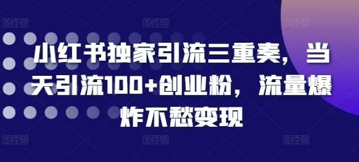 小红书独家引流三重奏，当天引流100+创业粉，流量爆炸不愁变现【揭秘】-鼎铸网