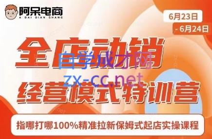 阿呆电商·全店动销经营模式特训营(线下录音+思维导图)-鼎铸网
