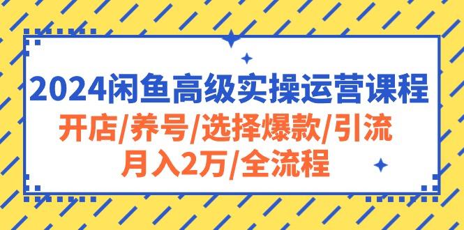2024闲鱼高级实操运营课程：开店/养号/选择爆款/引流/月入2万/全流程-鼎铸网