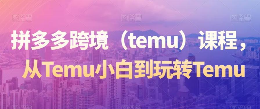 拼多多跨境（temu）课程，从Temu小白到玩转Temu-鼎铸网