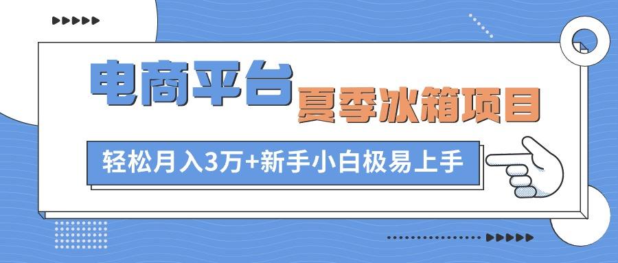 电商平台夏季冰箱项目，轻松月入3万+，新手小白极易上手-鼎铸网