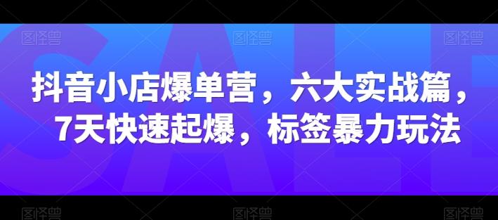 抖音小店爆单营，六大实战篇，7天快速起爆，标签暴力玩法-鼎铸网