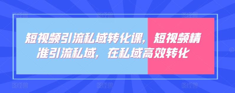 短视频引流私域转化课，短视频精准引流私域，在私域高效转化-鼎铸网