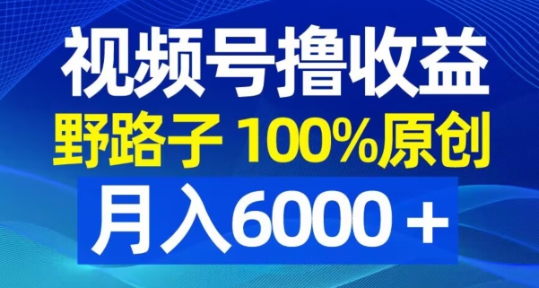 视频号野路子撸收益，100%原创，条条爆款，月入6000＋【揭秘】-鼎铸网