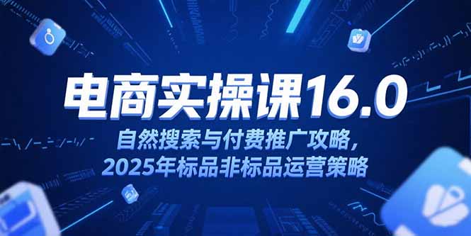 淘宝电商运营课16.0，自然搜索与付费推广攻略，2025年标品非标品运营策略-鼎铸网