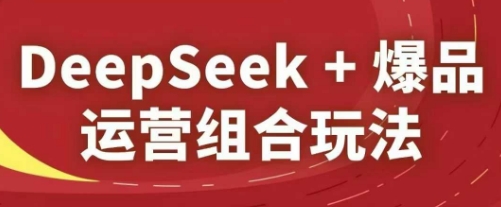 DeepSeek+爆品运营组合玩法，2025淘系精品课-鼎铸网
