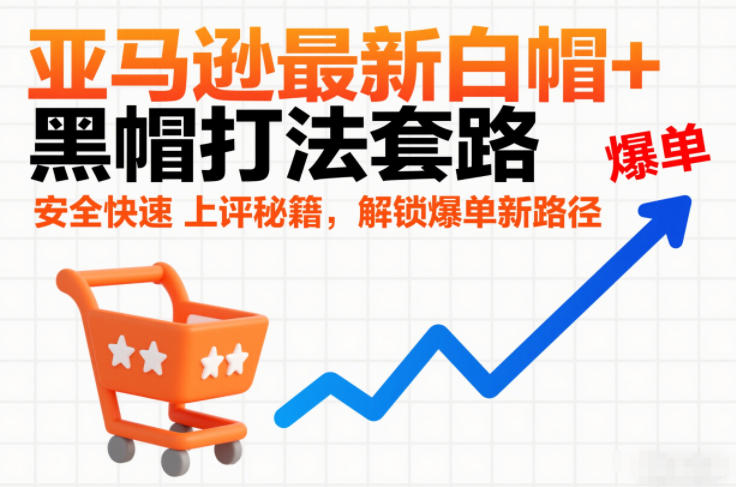 亚马逊最新白帽+黑帽打法套路，安全快速上评秘籍，解锁爆单新路径-鼎铸网