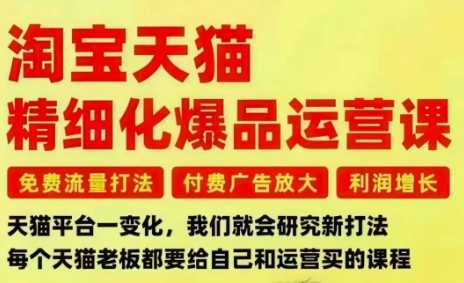淘宝天猫精细化爆品运营课，免费流量打法-付费广告放大-利润增长-三大核心痛点，一次全部解决-鼎铸网