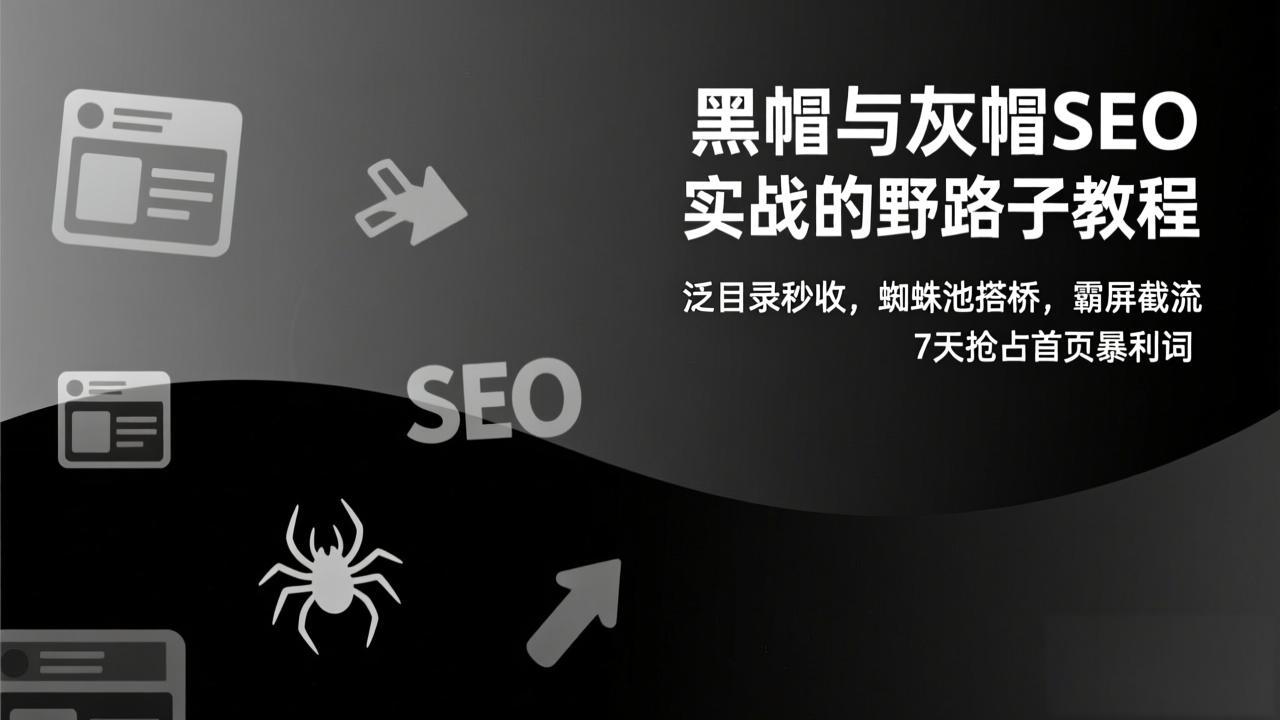 黑帽与灰帽SEO实战的野路子教程：泛目录秒收，蜘蛛池搭桥，霸屏截流，7天抢占首页暴利词-鼎铸网