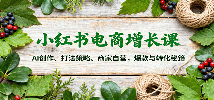 小红书电商增长课：AI创作、打法策略、商家自营，爆款与转化秘籍-鼎铸网