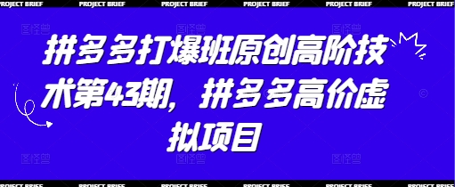 拼多多打爆班原创高阶技术第43期，拼多多高价虚拟项目-鼎铸网