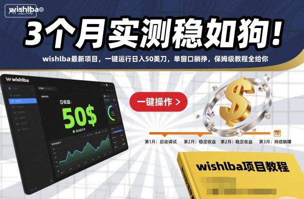3个月实测稳如狗！wishlba最新项目，一键运行日入50美刀，单窗口躺挣，保姆级教程全给你【揭秘】-鼎铸网