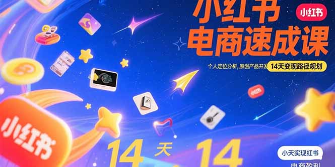 小红书虚拟电商速成课：个人定位分析，原创产品开发，14天变现路径规划-鼎铸网