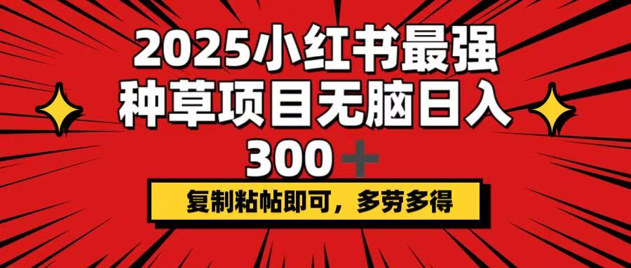 2025小红书最强种草项目，无脑日入300+，复制粘帖即可，多劳多得-鼎铸网
