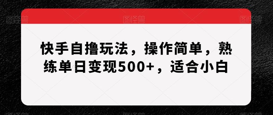 快手自撸玩法，操作简单，熟练单日变现500+，适合小白【揭秘】-鼎铸网