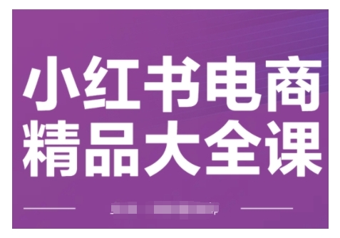 小红书电商精品大全课，快速掌握小红书运营技巧，实现精准引流与爆单目标，轻松玩转小红书电商(更新2月)-鼎铸网