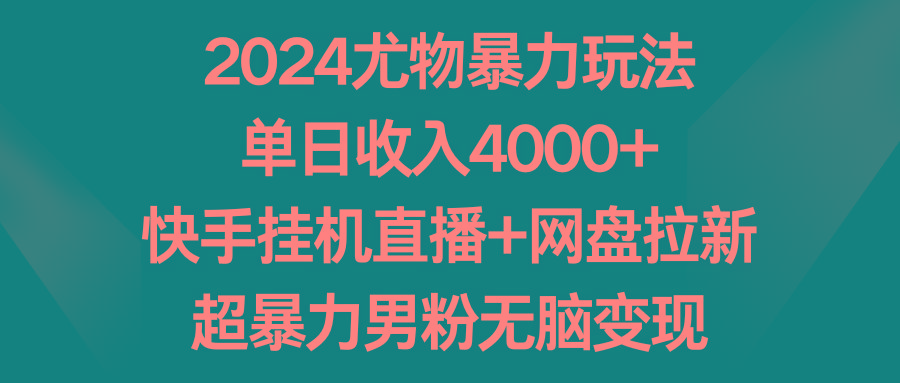 2024尤物暴力玩法 单日收入4000+快手挂机直播+网盘拉新 超暴力男粉无脑变现-鼎铸网