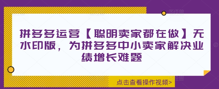 拼多多运营【聪明卖家都在做】无水印版，为拼多多中小卖家解决业绩增长难题-鼎铸网