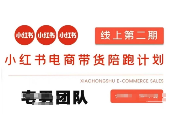 小红书电商带货课2期，月利润20个的小红书电商的有货源，无货源，虚拟产品，付费投流等整套玩法-鼎铸网