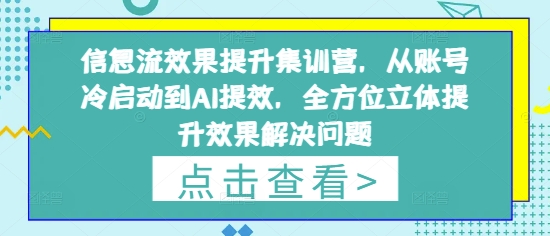 信息流效果提升集训营，从账号冷启动到AI提效，全方位立体提升效果解决问题-鼎铸网