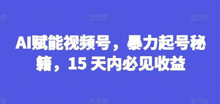 AI赋能视频号，暴力起号秘籍，15 天内必见收益【揭秘】-鼎铸网